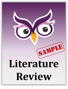 essay owl review