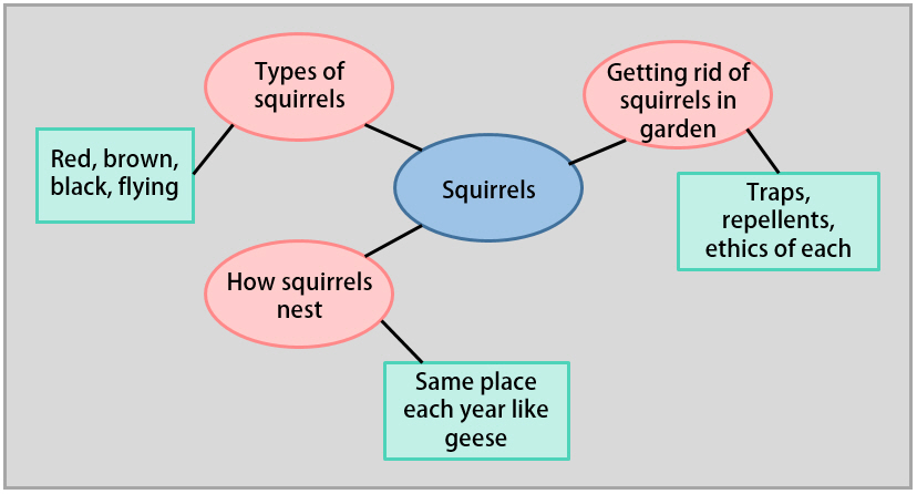 mindmap example of squirrels