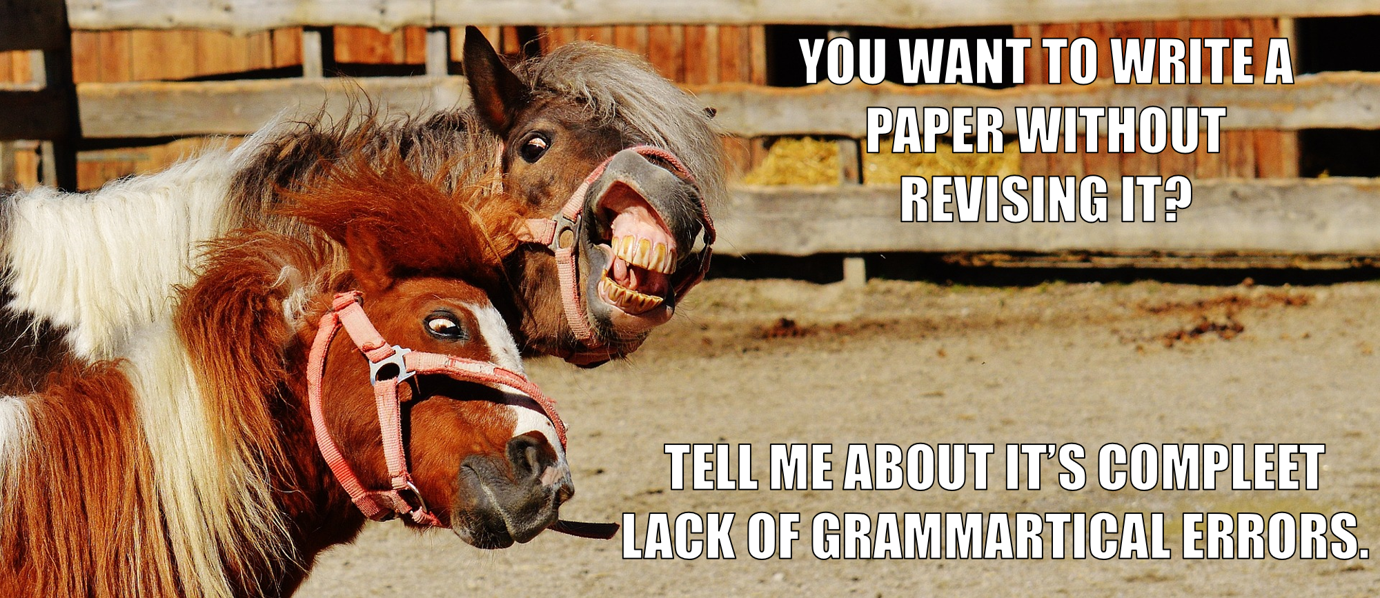 Meme - 2 horses making comical expressions. You want to write a paper without revising it? Tell me about it's compleet lack of grammartical errors.