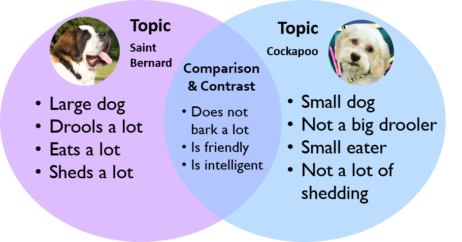 A venn diagram comparing a Saint Bernard with a Cockapoo