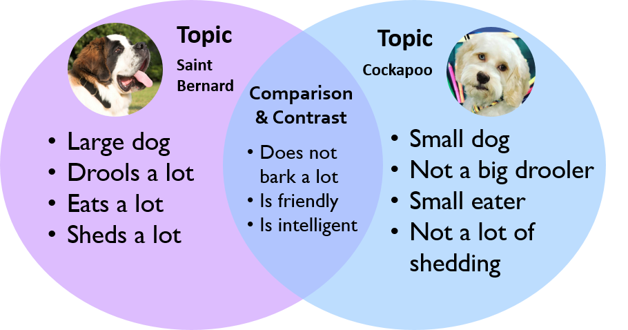 organizational structure compare and contrast