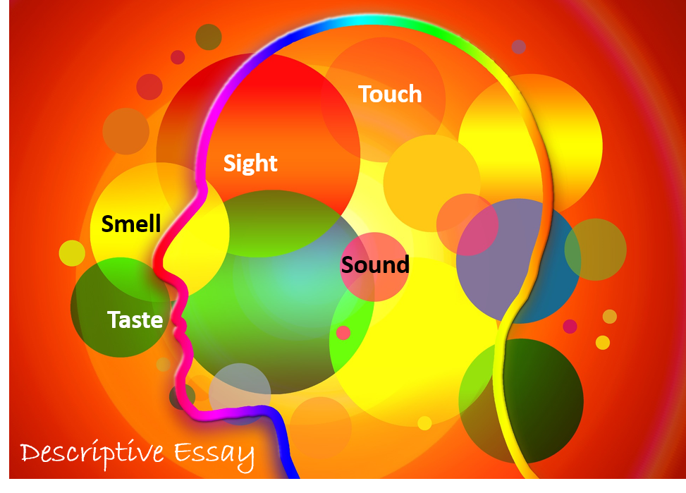 Un esquema de una cabeza con las palabras sabor, olor, vista, sonido y tacto