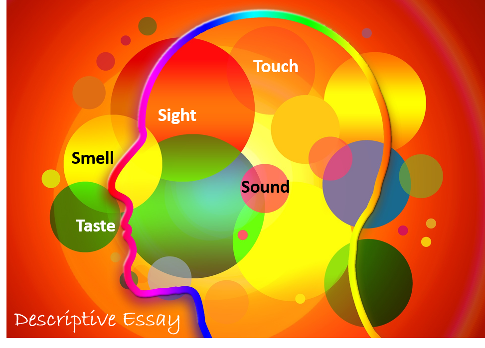 An outline of a head with the words taste, smell, sight, sound, and touch