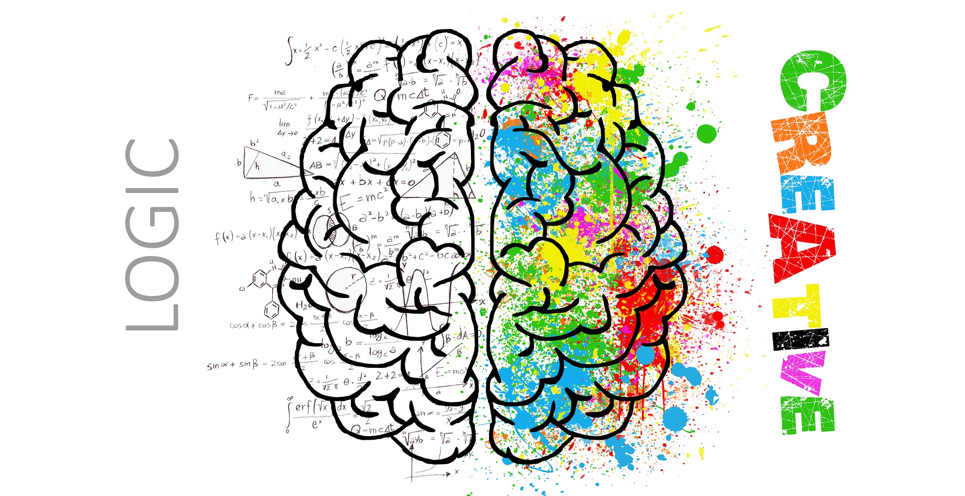 A sketch of the brain. One half is paint splattered and says Creative; the other half is black and white, has math problems written all over, and says Logic.