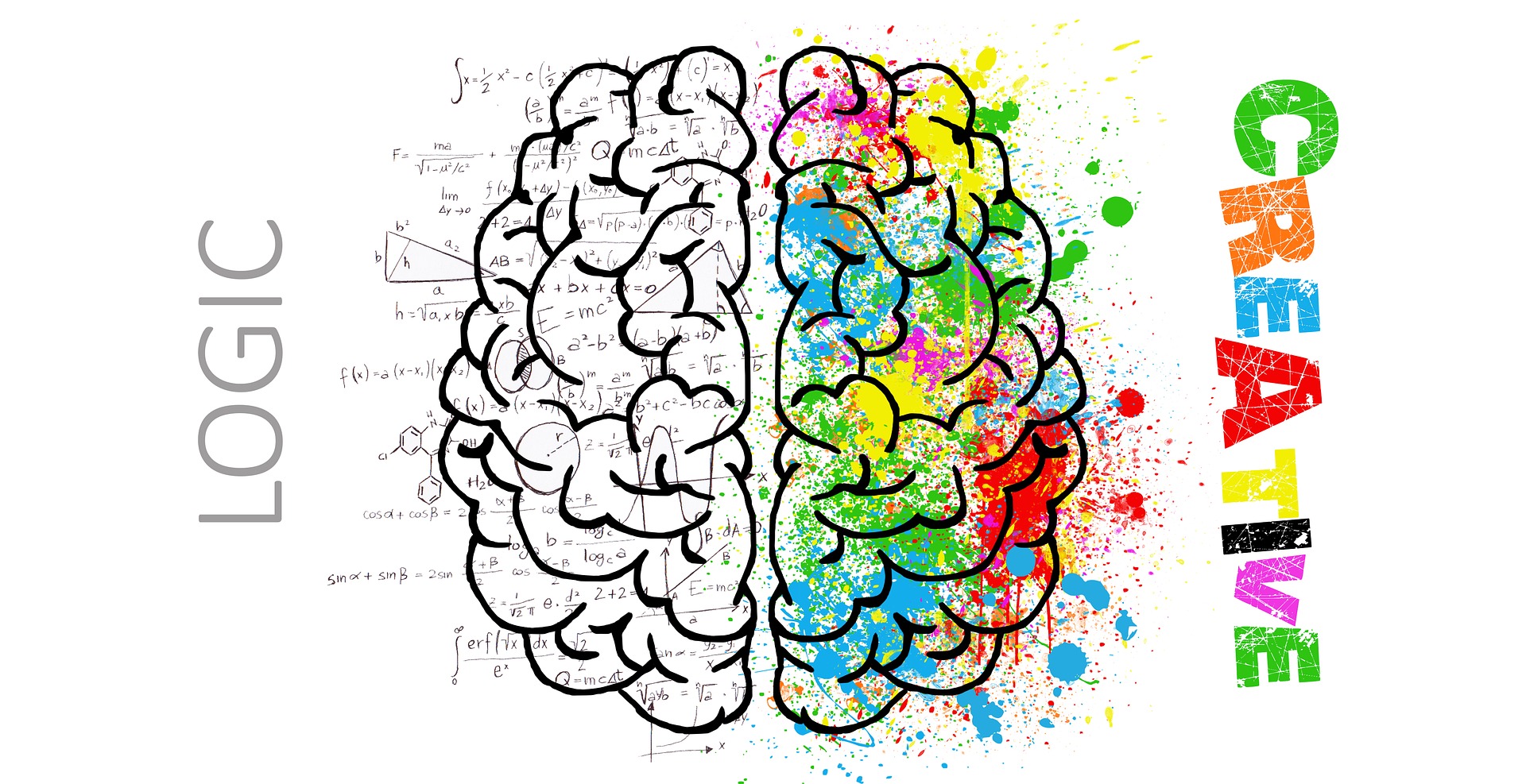 Un boceto del cerebro. Una mitad está salpicada de pintura y dice Creativo; la otra mitad es en blanco y negro, tiene problemas matemáticos escritos por todas partes y dice Lógico.