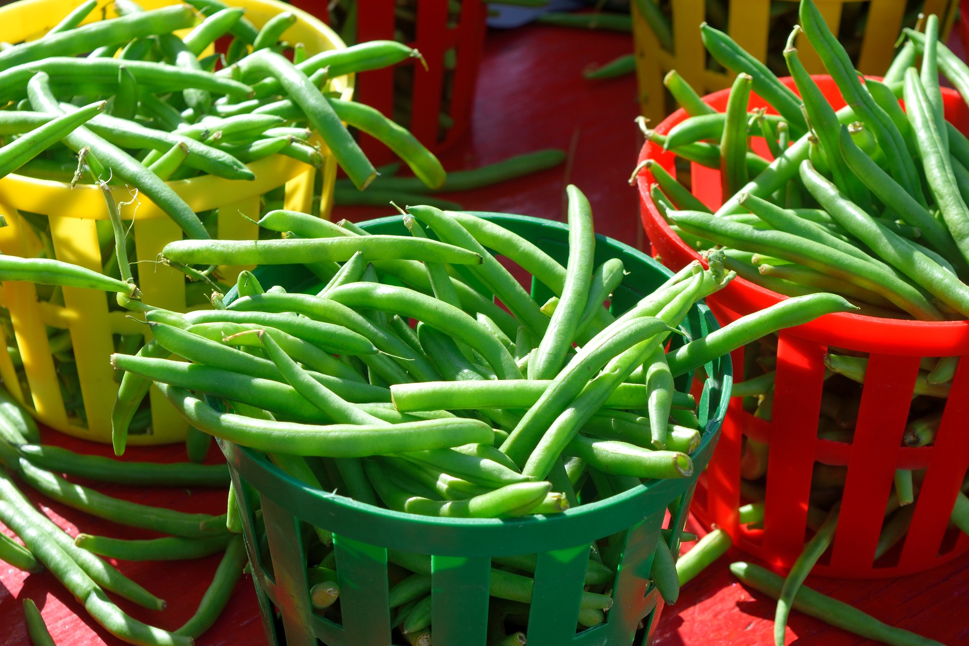 Baskets full of string beans