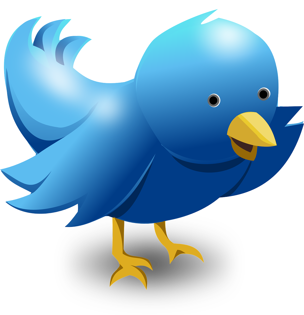 Un simpático pájaro de estilo twittero