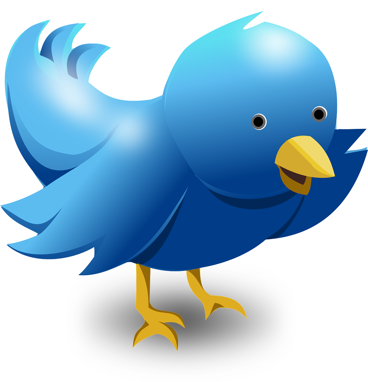 A cute twitter style bird