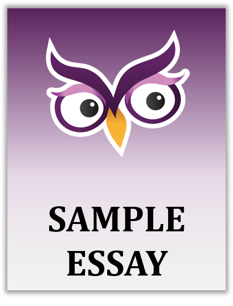 Process essay sample