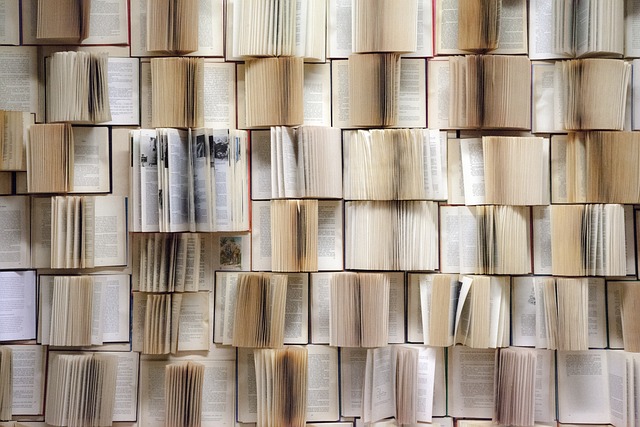 Una pared de libros.