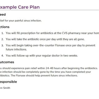 Image of a sample care plan.